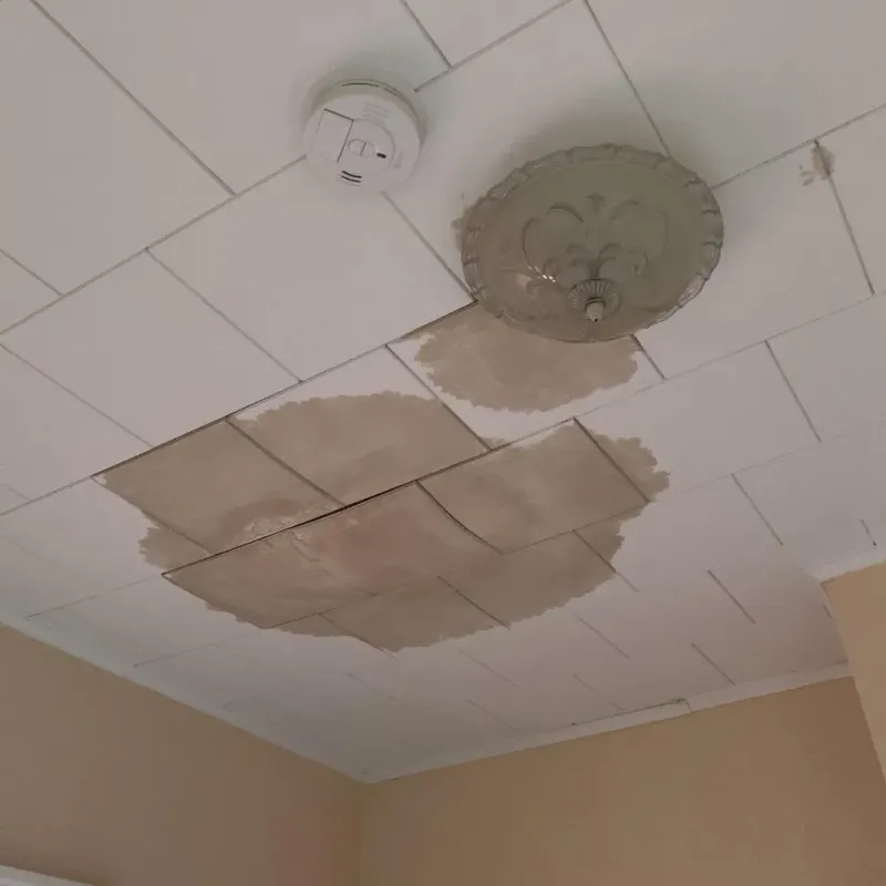 Ceiling Water Damage Repair in Smith County, MS