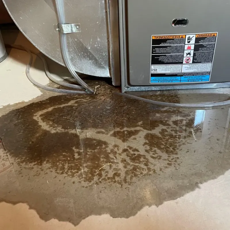 Pipe Burst and Leak Restoration in Smith County, MS